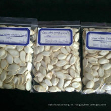 Proveedor profesional de semillas de calabaza de productos agrícolas.